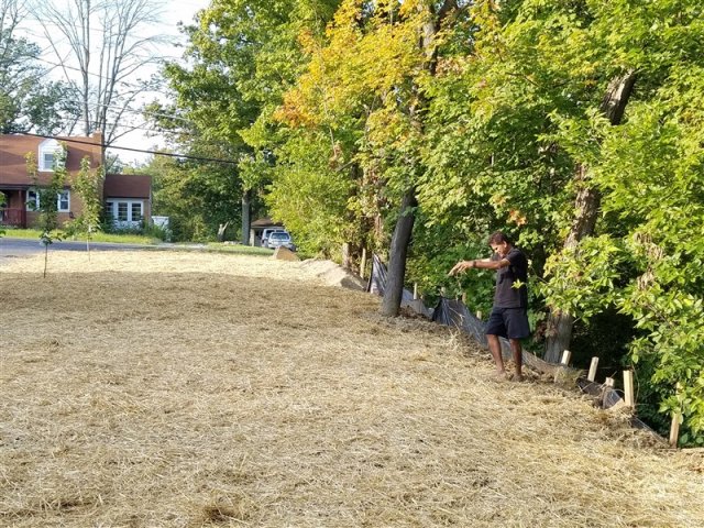 941. 20170903_183219